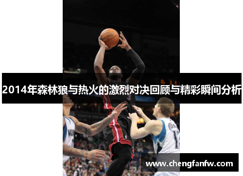 2014年森林狼与热火的激烈对决回顾与精彩瞬间分析